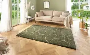 Allure Thane Forest Green Rug